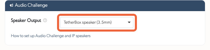Speaker output on the camera Audio Challenge card