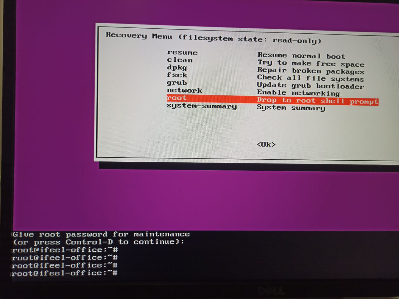 Root shell prompt after login