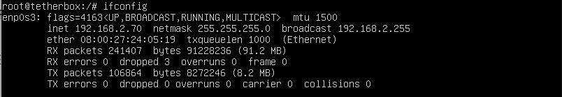 ifconfig showing assigned IP